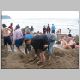 Coromandel Weekend 349.jpg